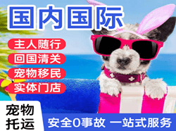 巴彦淖尔机场快运国际宠物托运 【国
